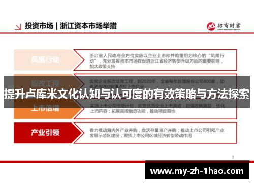 提升卢库米文化认知与认可度的有效策略与方法探索 提升卢库米文化认知与认可度的有效策略与方法探索