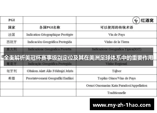 全面解析美冠杯赛事级别定位及其在美洲足球体系中的重要作用 全面解析美冠杯赛事级别定位及其在美洲足球体系中的重要作用