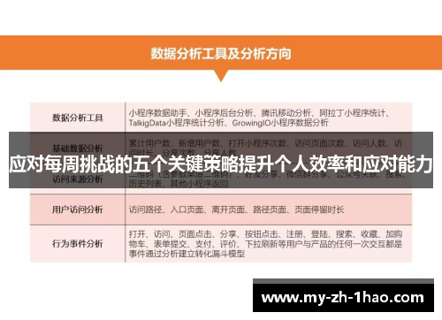 应对每周挑战的五个关键策略提升个人效率和应对能力