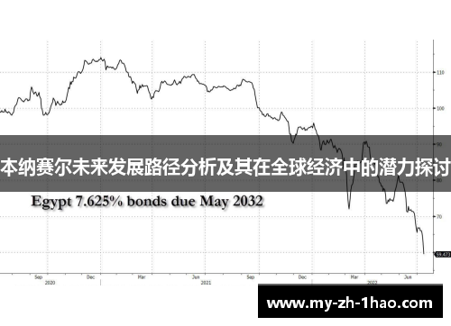 本纳赛尔未来发展路径分析及其在全球经济中的潜力探讨