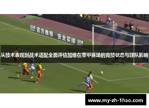 从技术表现到战术适配全面评估加维在意甲赛场的竞技状态与球队影响
