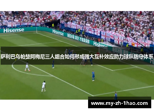 萨利巴乌帕楚阿梅尼三人组合如何形成强大互补效应助力球队防守体系