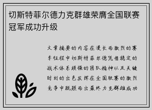 切斯特菲尔德力克群雄荣膺全国联赛冠军成功升级 切斯特菲尔德力克群雄荣膺全国联赛冠军成功升级